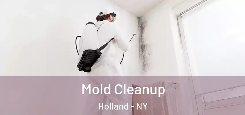  Mold Cleanup Holland - NY