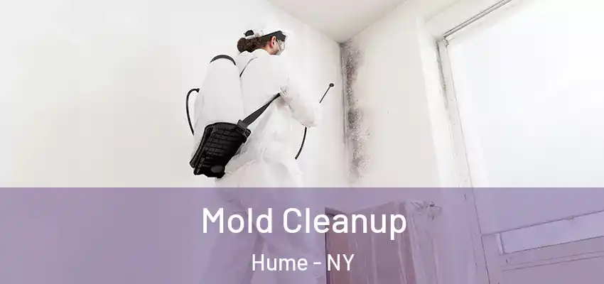  Mold Cleanup Hume - NY