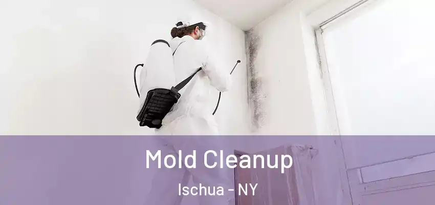  Mold Cleanup Ischua - NY