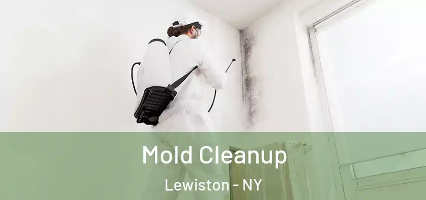  Mold Cleanup Lewiston - NY