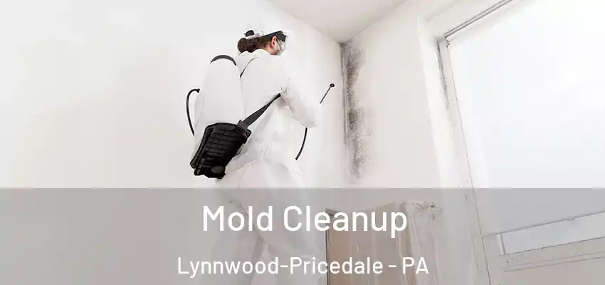 Mold Cleanup Lynnwood-Pricedale - PA