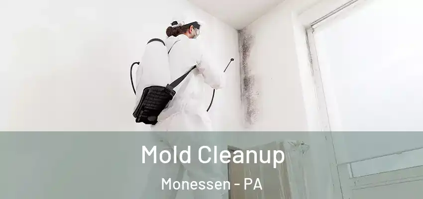  Mold Cleanup Monessen - PA