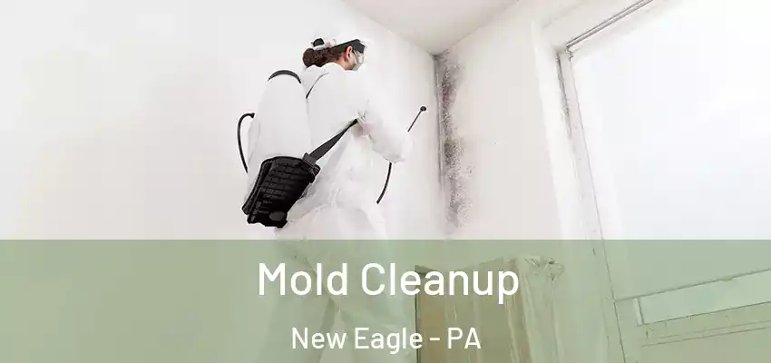 Mold Cleanup New Eagle - PA