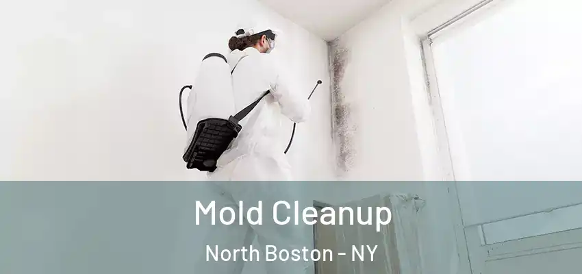  Mold Cleanup North Boston - NY
