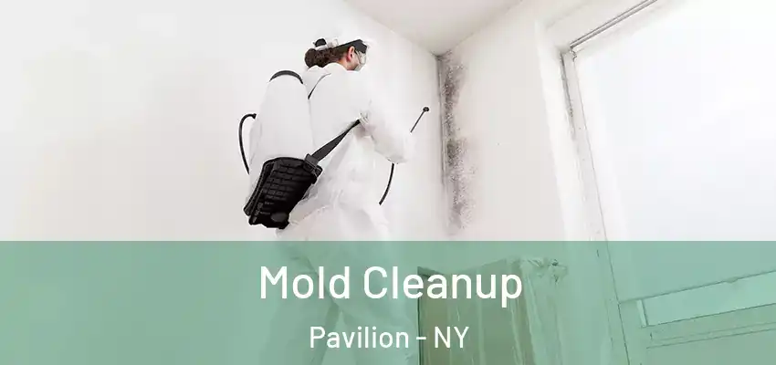  Mold Cleanup Pavilion - NY