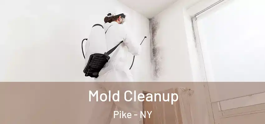 Mold Cleanup Pike - NY