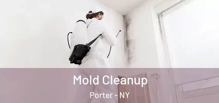Mold Cleanup Porter - NY
