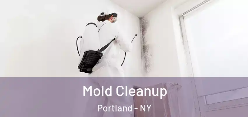  Mold Cleanup Portland - NY