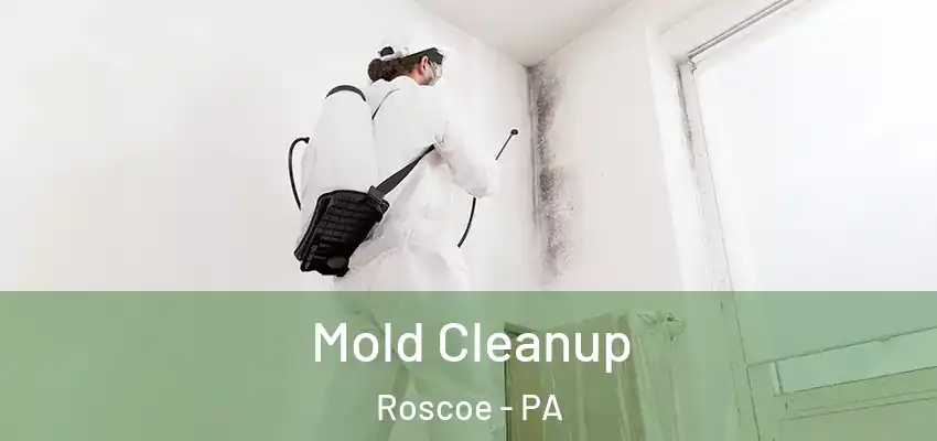 Mold Cleanup Roscoe - PA