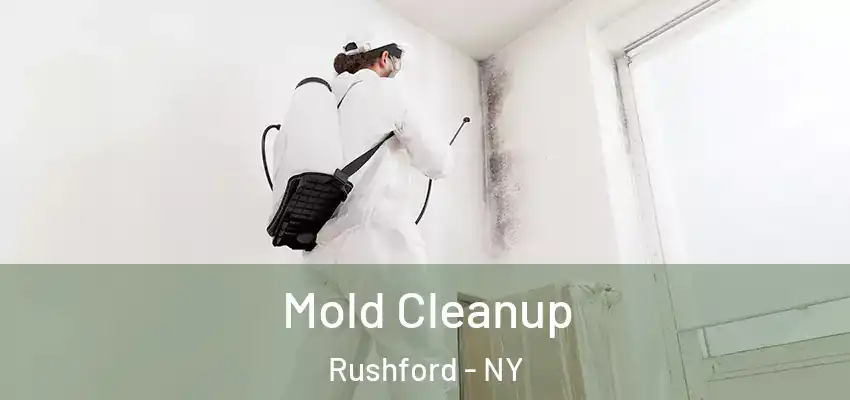  Mold Cleanup Rushford - NY