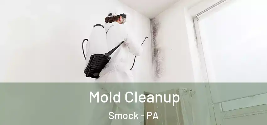  Mold Cleanup Smock - PA