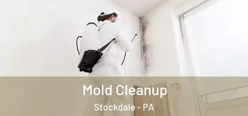  Mold Cleanup Stockdale - PA