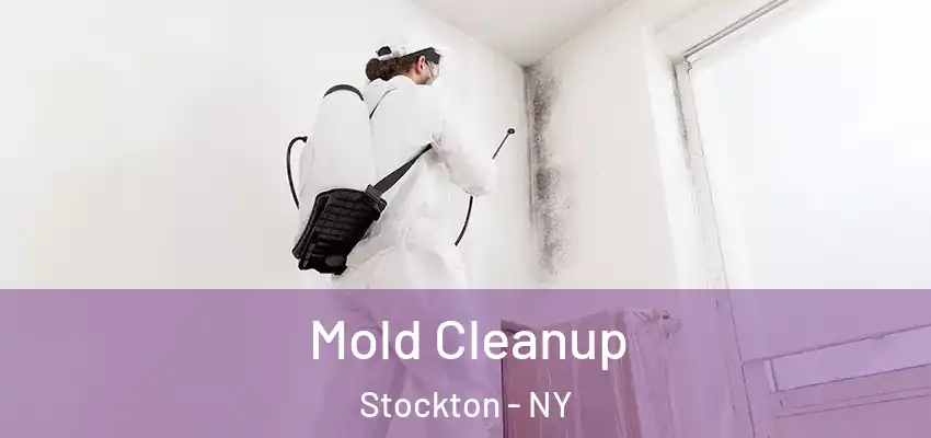  Mold Cleanup Stockton - NY