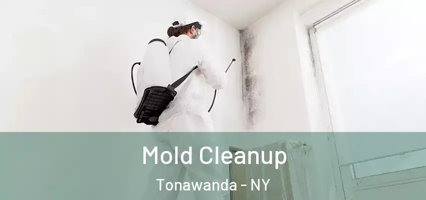  Mold Cleanup Tonawanda - NY