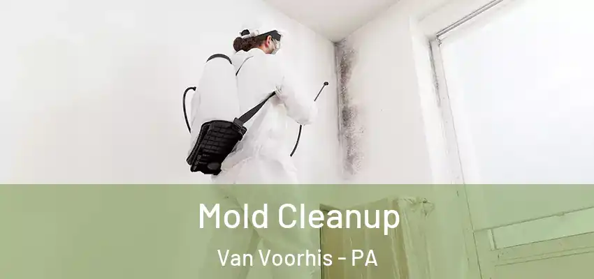  Mold Cleanup Van Voorhis - PA