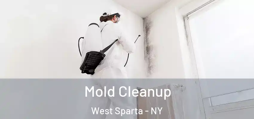 Mold Cleanup West Sparta - NY