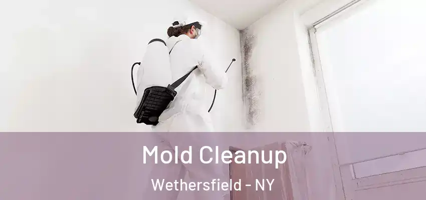 Mold Cleanup Wethersfield - NY