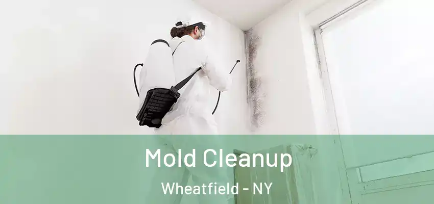  Mold Cleanup Wheatfield - NY