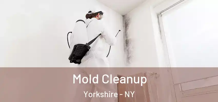  Mold Cleanup Yorkshire - NY