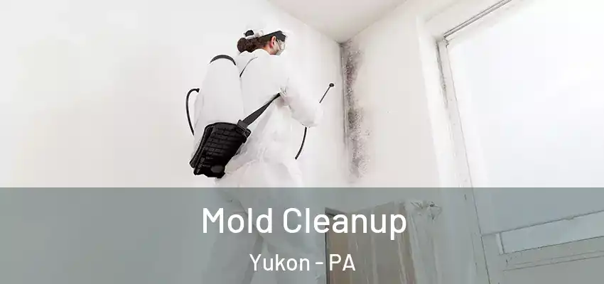  Mold Cleanup Yukon - PA