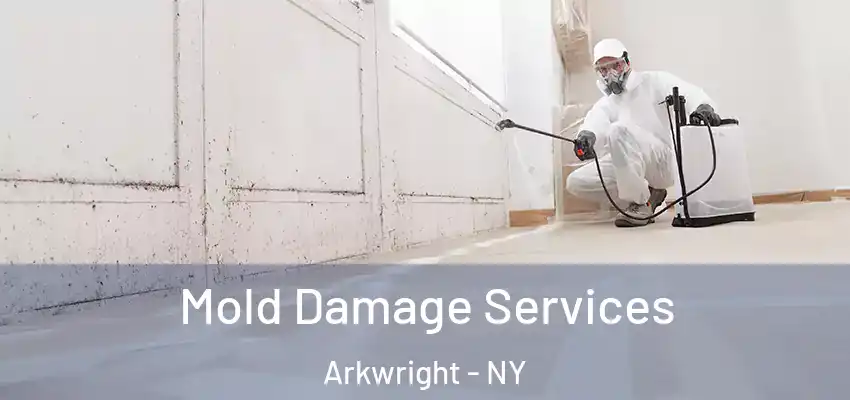  Mold Damage Services Arkwright - NY