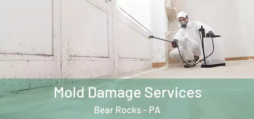  Mold Damage Services Bear Rocks - PA