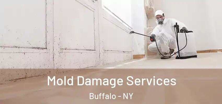  Mold Damage Services Buffalo - NY