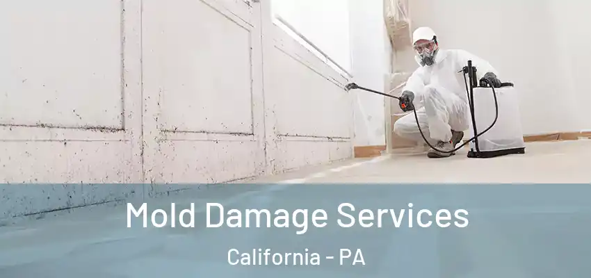  Mold Damage Services California - PA