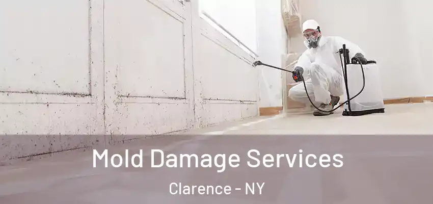  Mold Damage Services Clarence - NY
