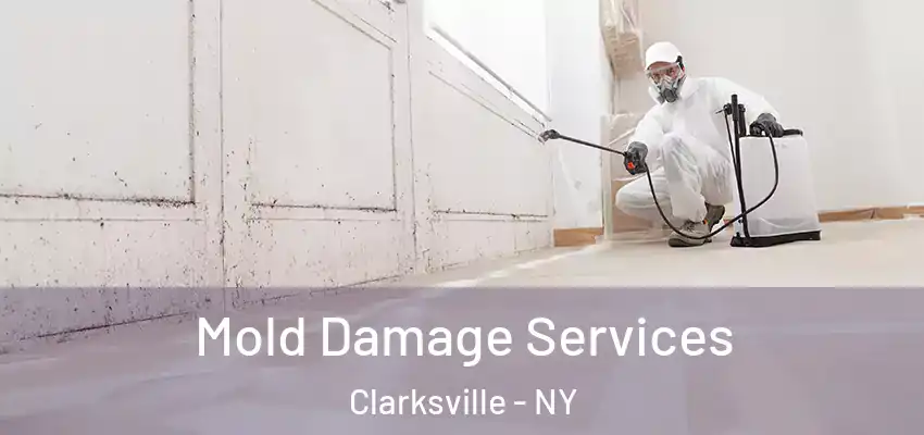  Mold Damage Services Clarksville - NY