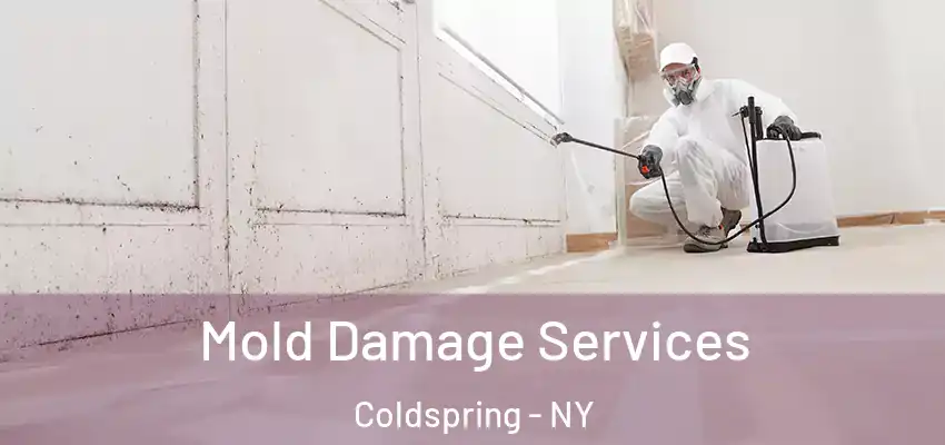  Mold Damage Services Coldspring - NY