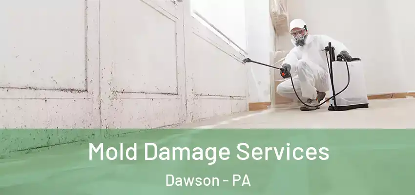  Mold Damage Services Dawson - PA