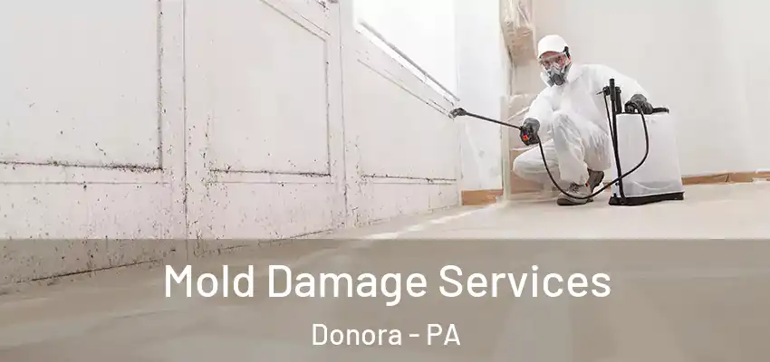  Mold Damage Services Donora - PA