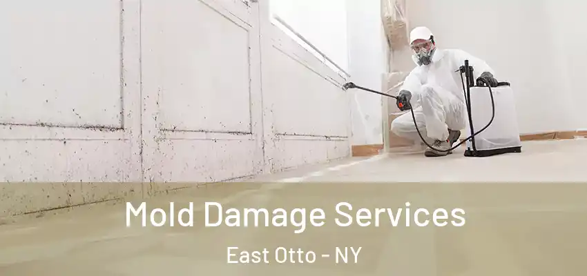  Mold Damage Services East Otto - NY