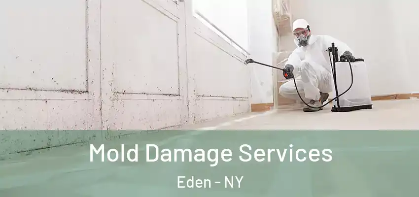  Mold Damage Services Eden - NY