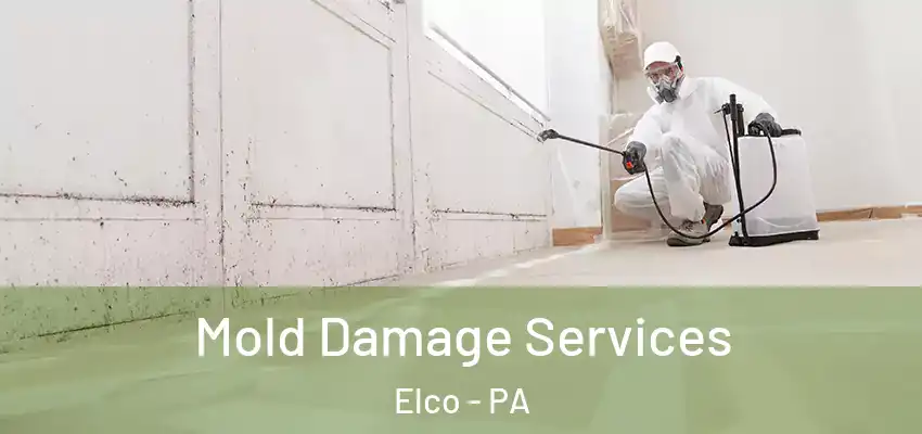  Mold Damage Services Elco - PA