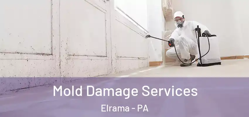  Mold Damage Services Elrama - PA