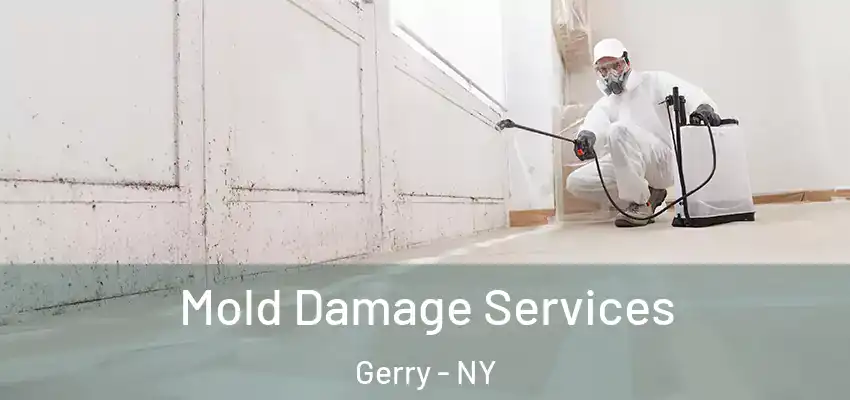 Mold Damage Services Gerry - NY