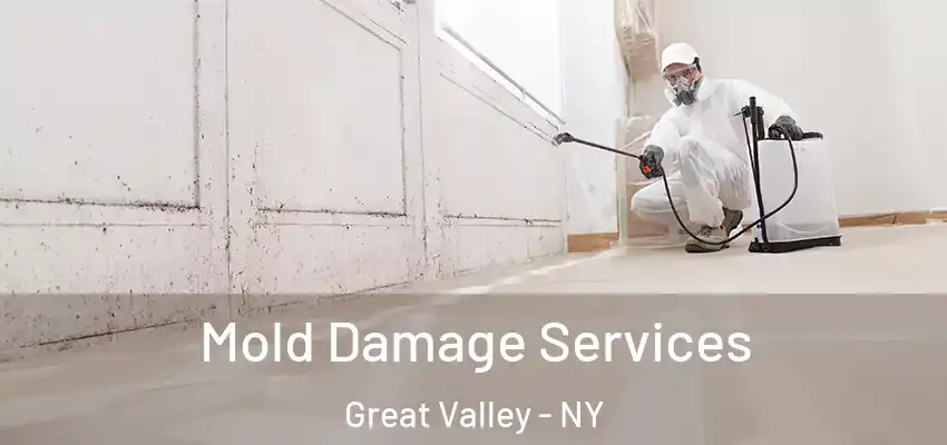  Mold Damage Services Great Valley - NY