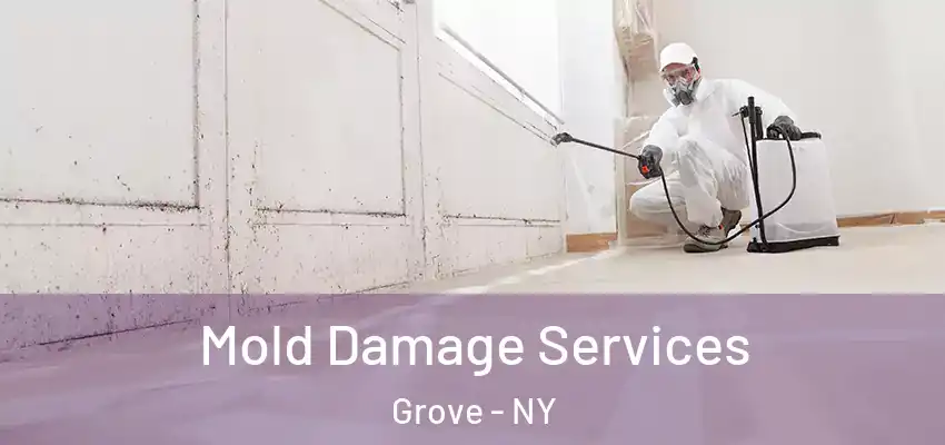 Mold Damage Services Grove - NY
