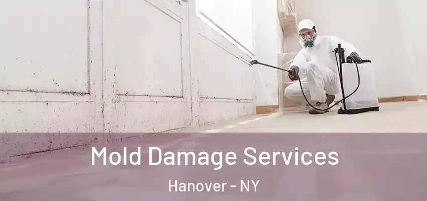 Mold Damage Services Hanover - NY
