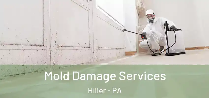  Mold Damage Services Hiller - PA
