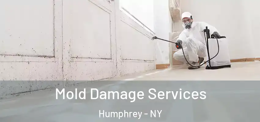  Mold Damage Services Humphrey - NY