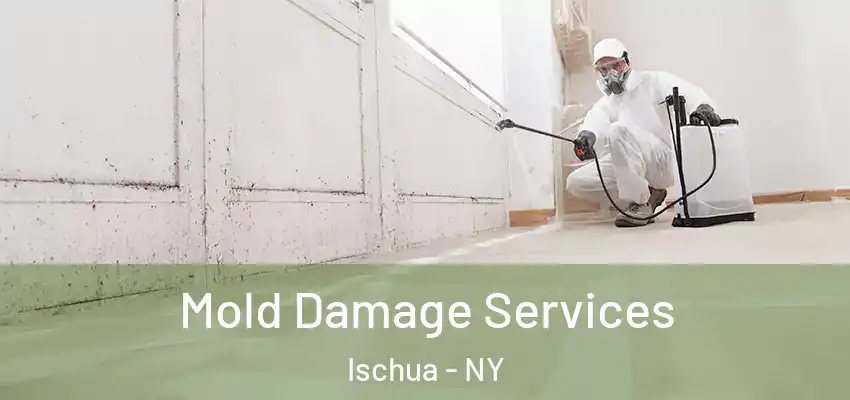  Mold Damage Services Ischua - NY