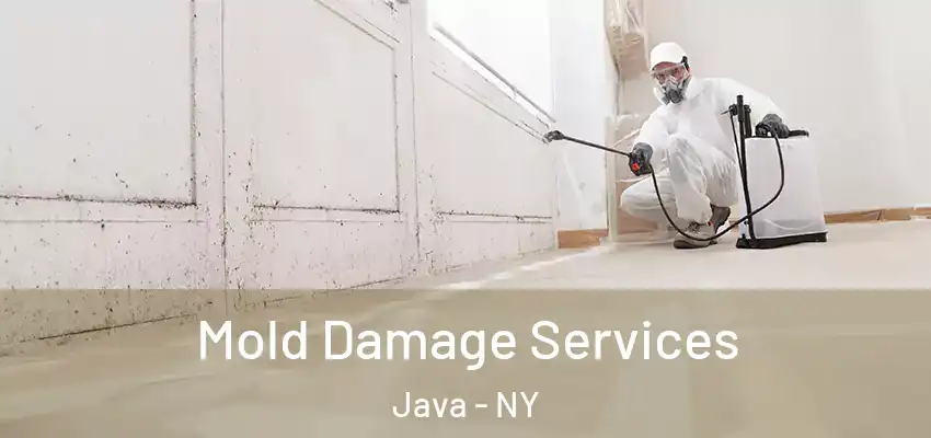 Mold Damage Services Java - NY