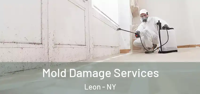 Mold Damage Services Leon - NY