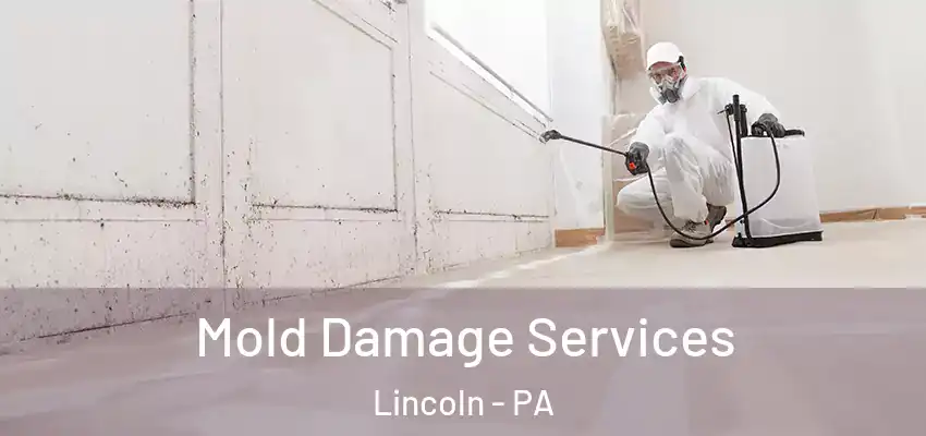  Mold Damage Services Lincoln - PA