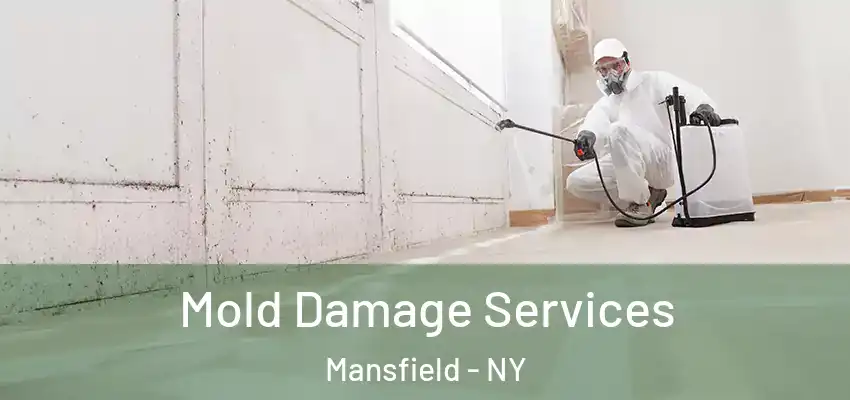 Mold Damage Services Mansfield - NY