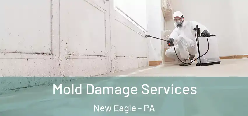 Mold Damage Services New Eagle - PA