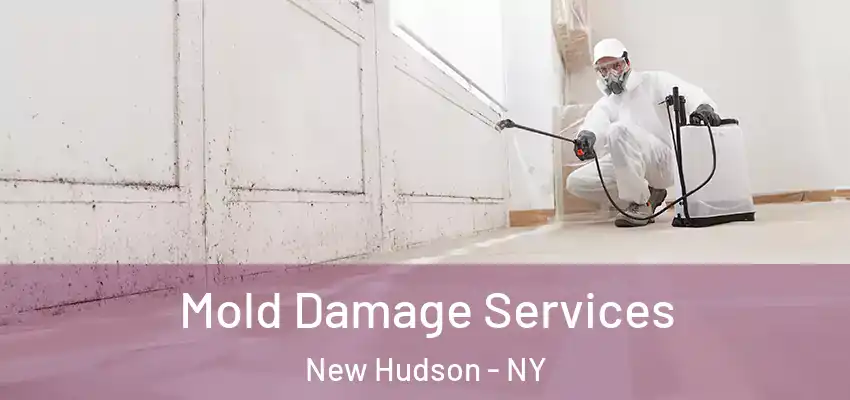  Mold Damage Services New Hudson - NY